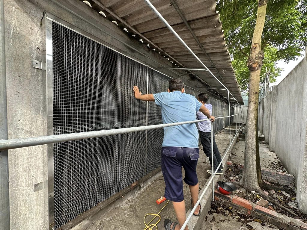 Giấy Cooling pad kết hợp với khung giàn sử dụng trong trang trại